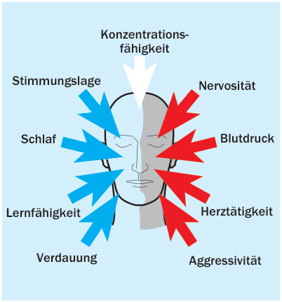 3. Schallschutz zwischen Wunsch und Wirklichkeit