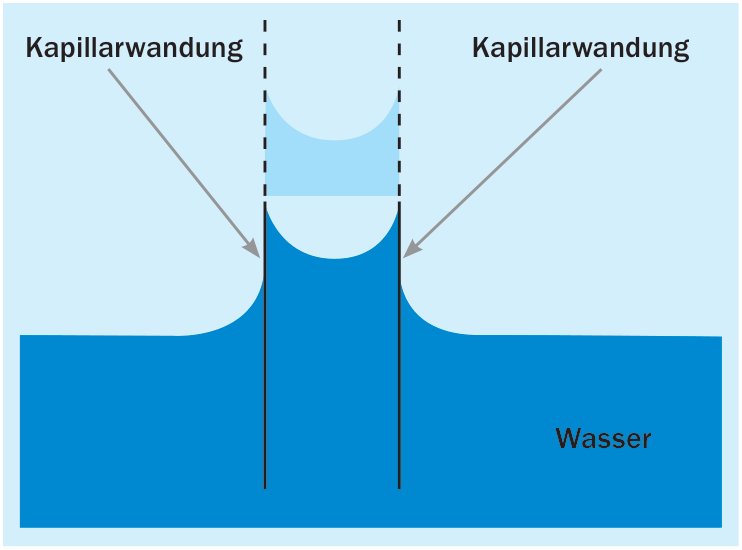 2. Feuchtetransport